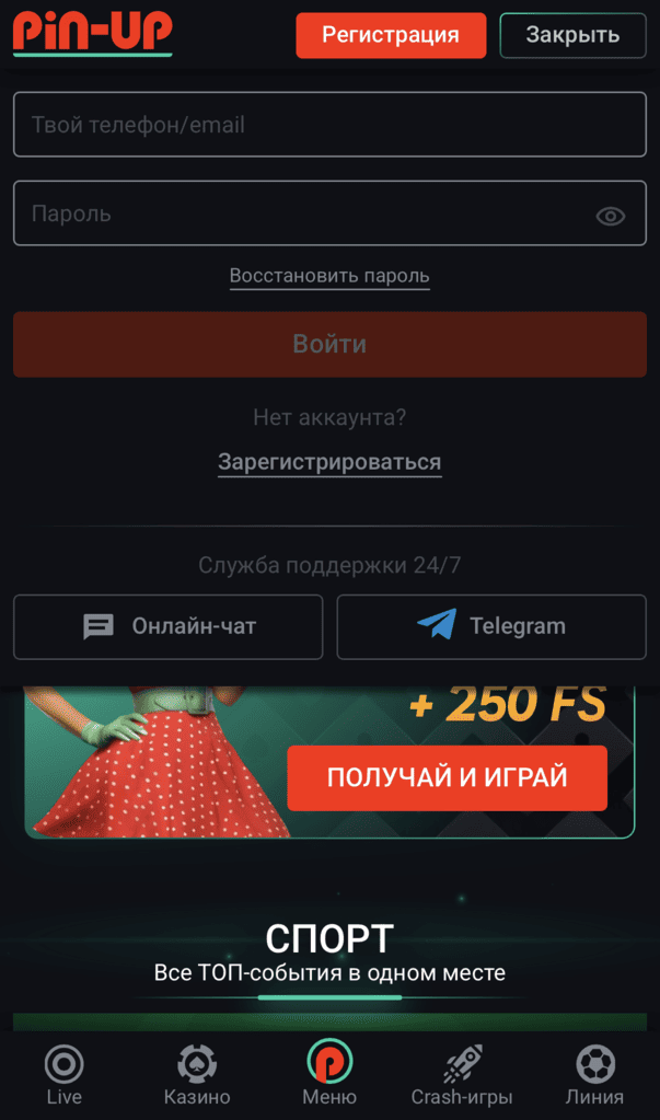 Форма входа в аккаунт на сайте БК PinUp с полями авторизации, вводом логина или email и пароля для доступа к профилю
